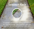 Summer - Summer Rain Pod