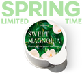 Sweet Magnolia Pod