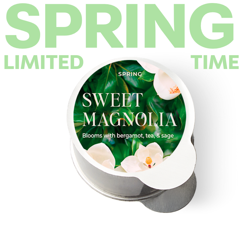 Sweet Magnolia Pod