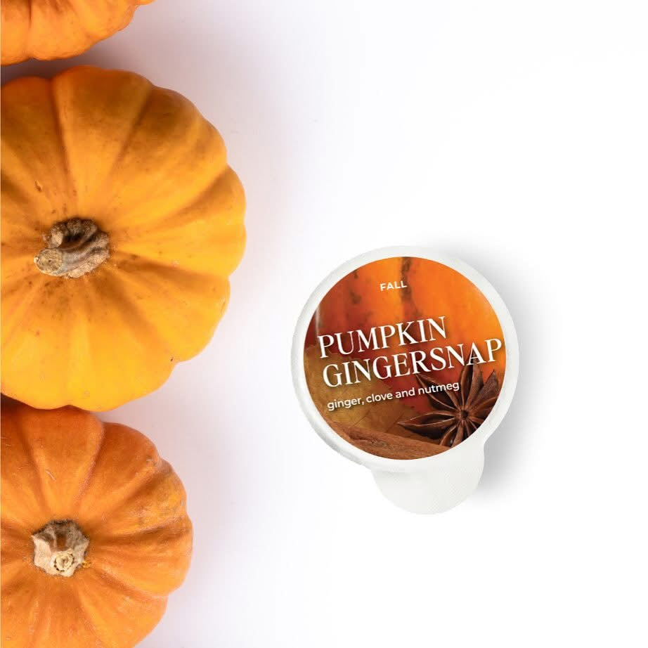 Pumpkin Gingersnap Pod
